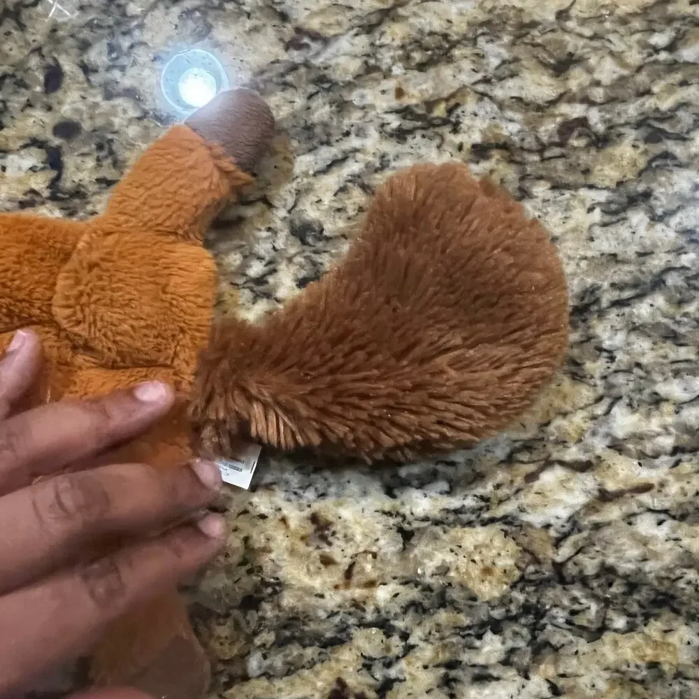 Fox Raccoon Squeaky Toy Flat Plush‎ Woodland Animal No Stuffing